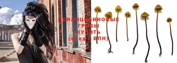 прущий лед Алексин