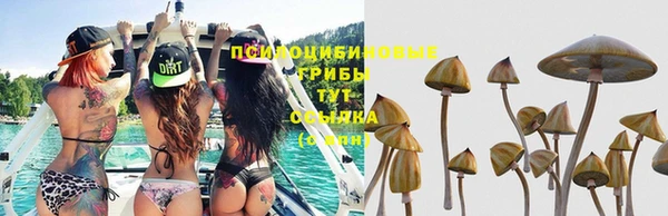 дурь Алексеевка