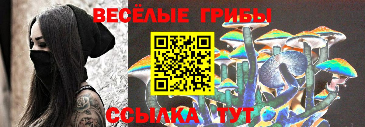 Галлюциногенные грибы Psilocybe  Вход с VPN  Тобольск  Галлюциногенные грибы прущие грибы 